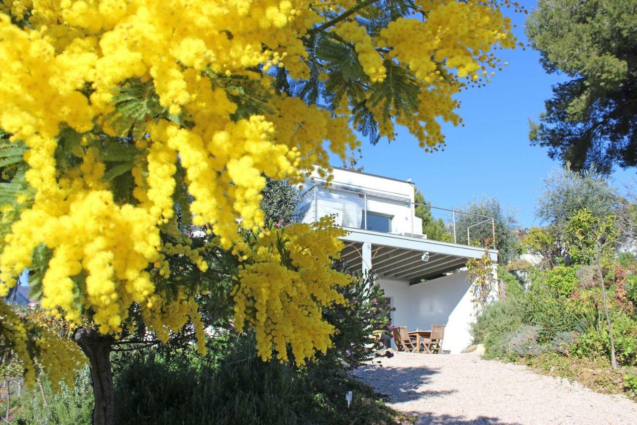 456 Chemin De La Pinede Apartman Menton Kültér fotó